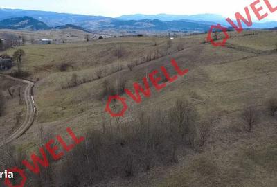 Teren de 4200 mp, în Barcani - 1