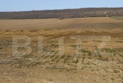 Teren intravilan, 5000 mp, la DN 85, la ie?irea din Suceava - 3