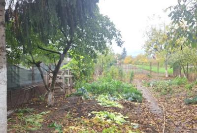 Casă cu 5 camere cu Teren 1384 Mp în Hărman - 5