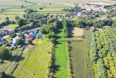 TEREN intravilan  6764 mp DRAGOMIRESTI - VAD - 5