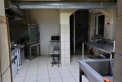 Vila P+1, Zona Traian - 12