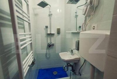 Oferta deosebita la cheie intr-un imobil istoric - 26