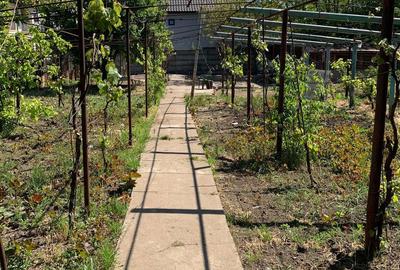 Casă cu 4 camere cu Teren 1592 Mp în Techirghiol - 1