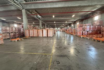 Spațiu industrial, de 5,000 mp, în Nord - 7