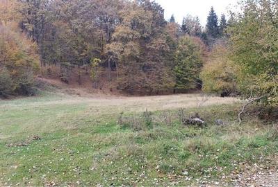 Teren de 50000 mp, în Calvini - 2