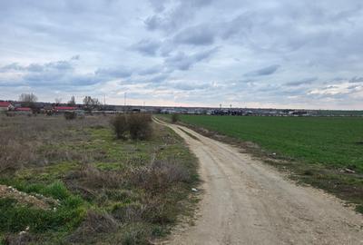 Loc Agigea / Judetul Cta /Teren intravilan 500 mp cu o deschidere stradala 16 ml - 13