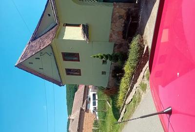 Vand casa in Amnas - 2