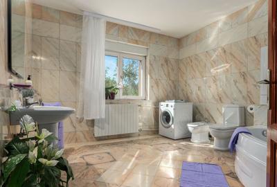 Vila Superba 360 mp - LOT 510 mp - Parcul Circului - Lacu... - 10