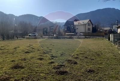 Teren Construcții intravilan de 1486 mp, în Sud - 5