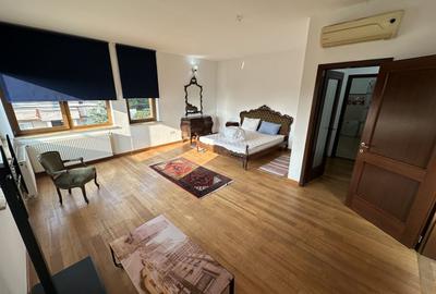 Proprietate cu piscina Dumbravita - 17