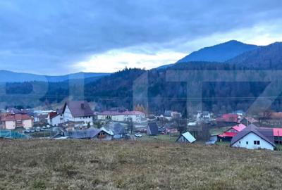 Teren de 2500 mp, în Colibița - 2