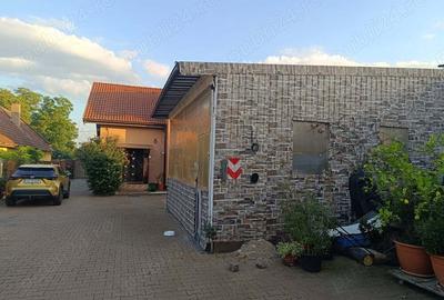 Vand Casa cu Service Auto Hala depozitare in Utvin - 5