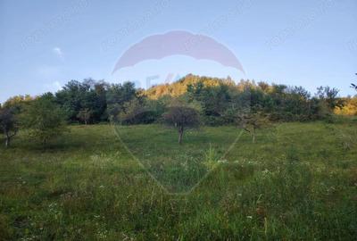 EXCLUSIVITATE! Teren 2339 mp in Barsana - Comision 0%! - 1