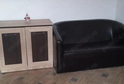 Apartament cu 2 camere decomandat în Turnișor - 4