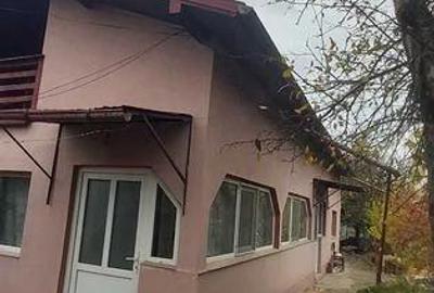 Casă cu Teren 1356 Mp în Lipia - 3