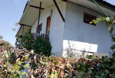 Casă cu 3 camere cu Teren 500 Mp în Bulbucata - 7