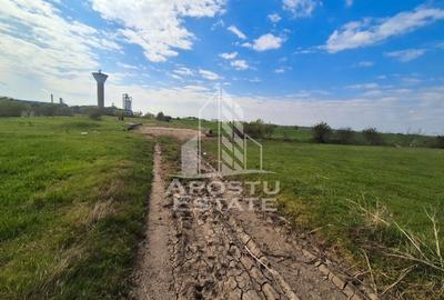 Teren Construcții intravilan de 10900 mp, în Sud - 2