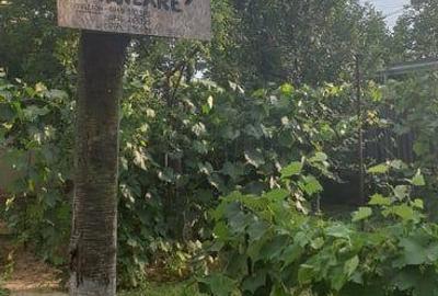 Casă cu 4 camere cu Teren 2500 Mp în Drăgășani