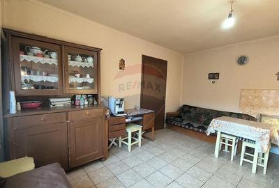 Casă cu 3 camere cu Teren 1418 Mp în Brateiu - 18