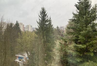 Apartament cu 2 camere decomandat în Mănăștur - 16