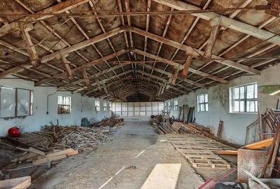 Casă cu 4 camere cu Teren 12000 Mp în Laza - 4