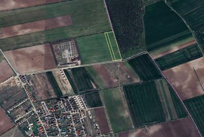 Loturi de vanzare la padure in Corbeanca! - 4