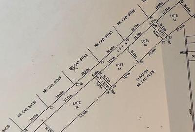 Teren de 1100 mp, în Bradu