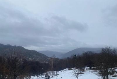 Teren intravilan de 5229 mp, în Șotrile - 7