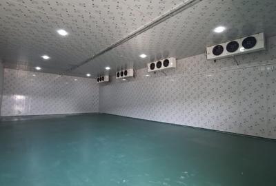 Spatii refrigorifice intre 100-200mp Afumati Spatii refrigorifice intre 100-200mp Afumati - 3