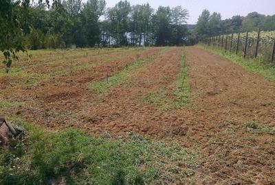 Teren Construcții intravilan de 24500 mp, în Piscu - 1