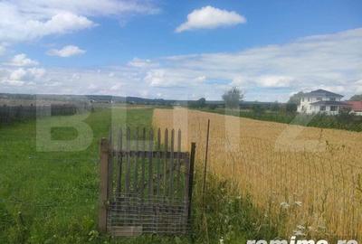 Teren intravilan la sosea, 6400 mp, Vicov de Sus - 2