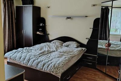 Casă cu 2 camere cu Teren 3103 Mp în Leșnic - 5