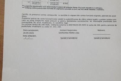 Teren de 7400 mp, în Bucovăț (Remetea Mare) - 3