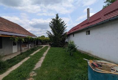 Casă cu Teren 1098 Mp în Central - 3