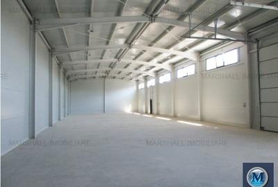 Spatiu industrial de vanzare, zona Sud, 553.1 mp #16751 - 2