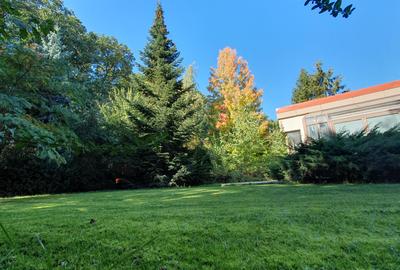 Vila S+P+1+M 650mp Paradisul Verde libera Vezi VIDEO - 6