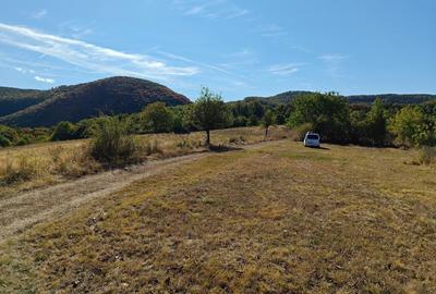 Teren de 35400 mp, în Sfodea - 2