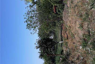 Casă în Bâra - 5