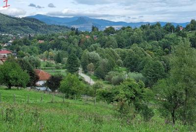 Teren de 8554 mp, în Bughea de Sus - 6