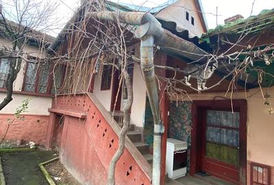 Casa Dalboset, Caras-Severin - 7