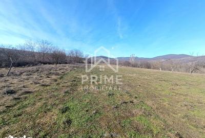 Teren de 2950 mp, în Central