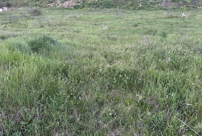 Teren Construcții intravilan de 2900 mp, în Cetate - 2