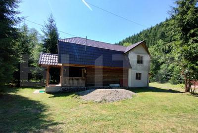 Cabana 4 camere Lunca Bradului - 15