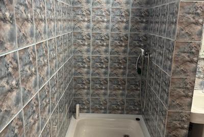 Apartament cu 3 camere decomandat, mobilat în Tudor Vladimirescu - 17