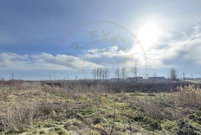 Teren Intravilan Industrial 13.164 mp, Zona Constantin Mille-Carei-Comision 0% - 5
