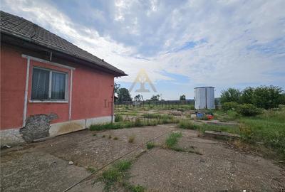 Teren de 10000 mp, în Periferie - 9