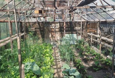 Casă cu 3 camere în Central - 2