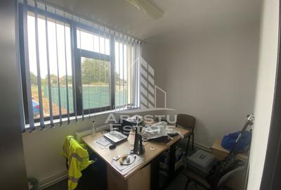 Casa în Dumbrăvița cu teren de 3039 mp și Front Stradal de 40 ml - 6