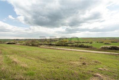 Teren intravilan Cetariu - 9