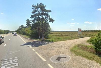 Teren de 5000 mp, în Vlădiceasca - 2
